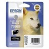 EPSON CART.GRIS CLARO R2880