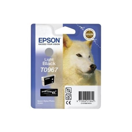 EPSON CART GRIS PHOTO R2880