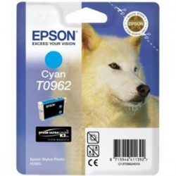 EPSON CART.CIAN R2880
